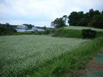 061023b.jpg