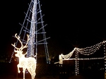 061210c.JPG