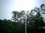 070503p.JPG