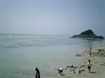 070503v.JPG