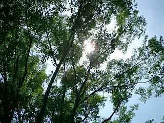 070520.JPG
