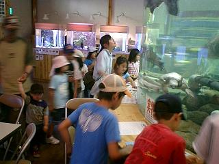 070520aa.JPG