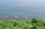 070804a.jpg