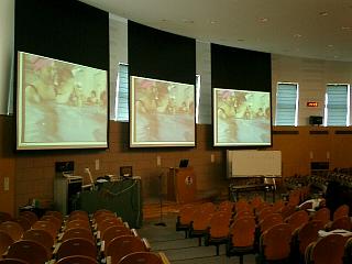 071014e.JPG