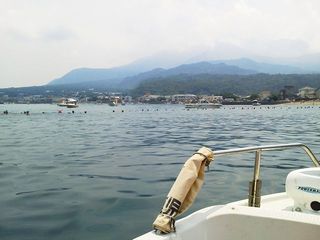 11616886_1229814615_189large.jpg