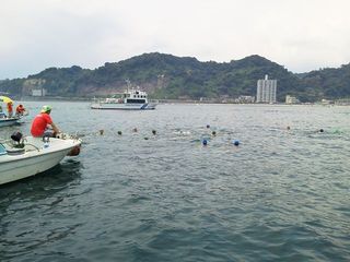 11616886_1229939981_226large.jpg