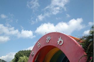 14810989_356604381_1large.jpg