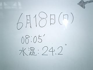 20060618g.JPG