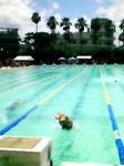 200707011343000.jpg