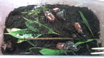 2010-06-23 13.38.04.jpg