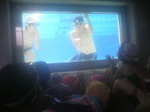2010060515520001.jpg