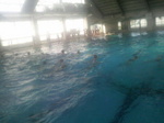 2010060516120001.jpg