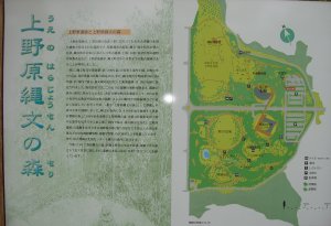 20101031_a_uenohara.jpg