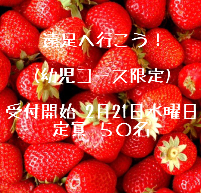 3462EE23-D620-4329-903D-8C4D37FF0F70.jpeg
