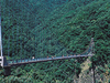 45000430_1.jpg
