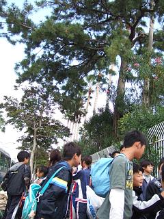 DSCF0223.JPG