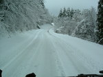 DSCF0392.JPG