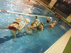 DSCF0564.JPG