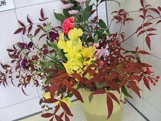 DSCF1518.JPG