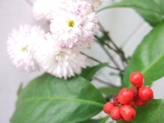 DSCF1520.JPG