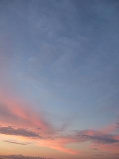 DSCF1548.JPG