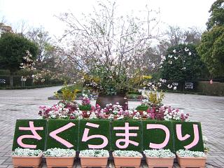 DSCF2336.JPG