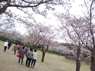 DSCF2338.JPG