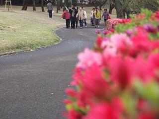 DSCF2345.JPG