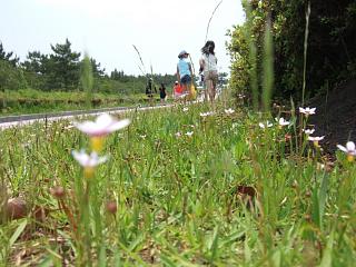 DSCF4516.JPG