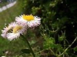 DSCF4518.JPG