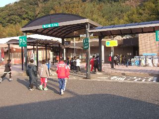 DSCF8082.jpg