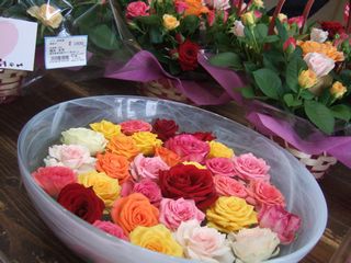 DSCF8299.JPG