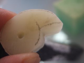 DSCF8322.JPG
