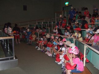 DSCF8343.JPG