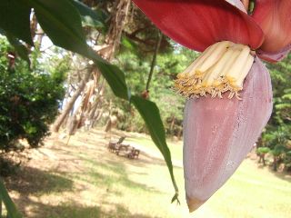 DSCF8434.JPG