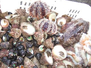 DSCF8521.JPG