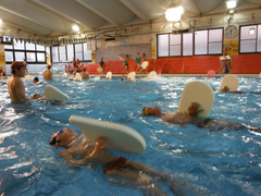 DSCF9036.jpg
