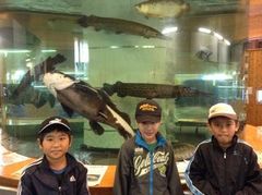 IMG_0010.jpg