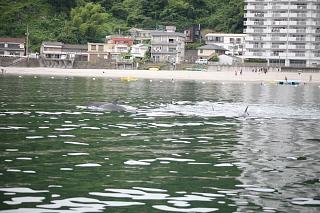 IMG_2238.JPG