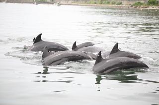 IMG_2241.JPG