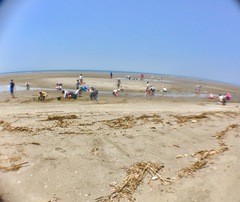 IMG_5187.JPG