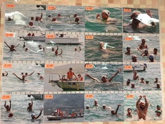 IMG_7358.JPG