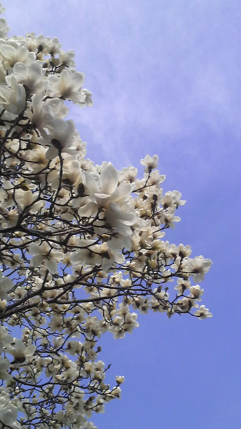 P1000008.JPG
