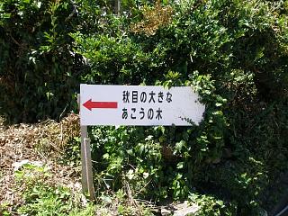 P8100194.JPG