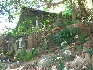 P8100201.JPG
