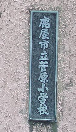 P8110231.jpg