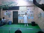 habu-5.JPG