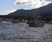 image/hswimming-2006-07-17T15:10:03-1.jpg