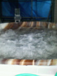 200612121005000.jpg