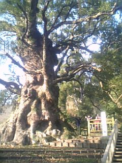 061227_152746_M.jpg